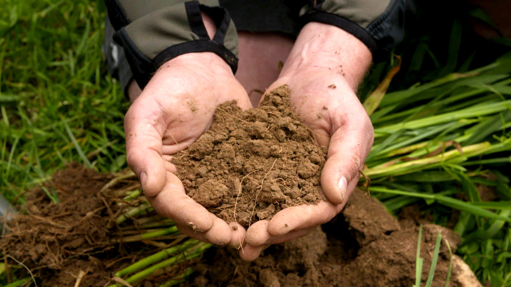 Carbon Farming bedeutet Kohlenstoff-Landwirtschaft: Durch Humusaufbau soll damit der Atmosphäre CO2 entzogen werden.