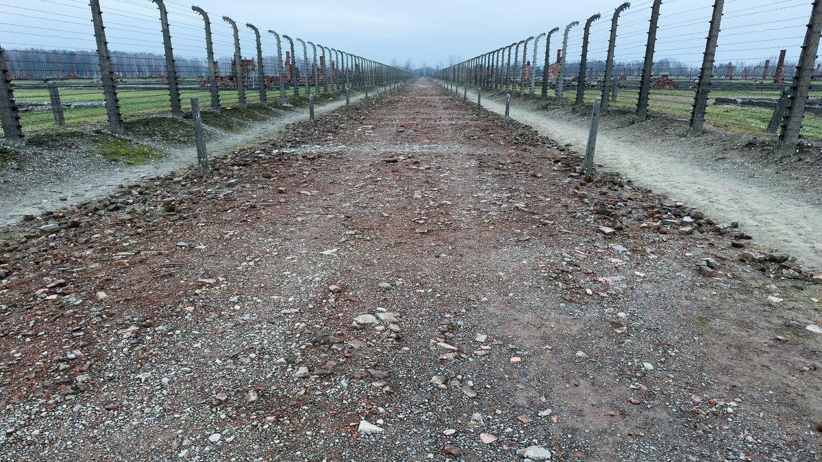 Gegen das Vergessen: "Auschwitz Birkenau" von Juergen Teller 