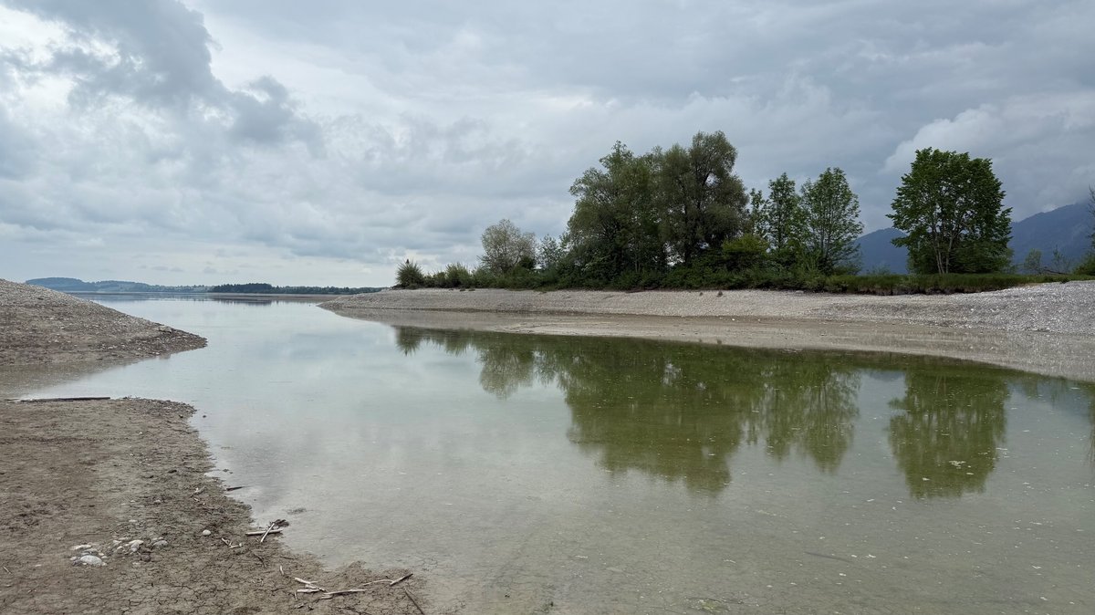 Deutschlands größter Stausee, der Forggensee, hat wegen der Trockenheit sein Stauziel noch nicht erreicht, um eine Schifffahrt zu ermöglichen. 