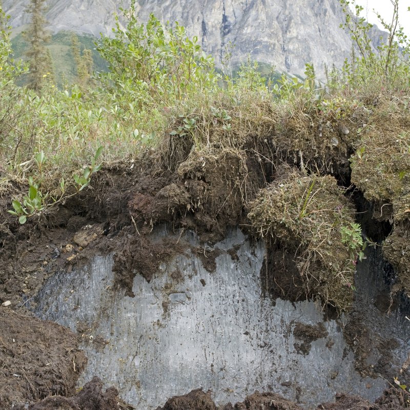 Der Permafrost taut auf - Folgen für Mensch und Umwelt - radioWissen | BR Podcast