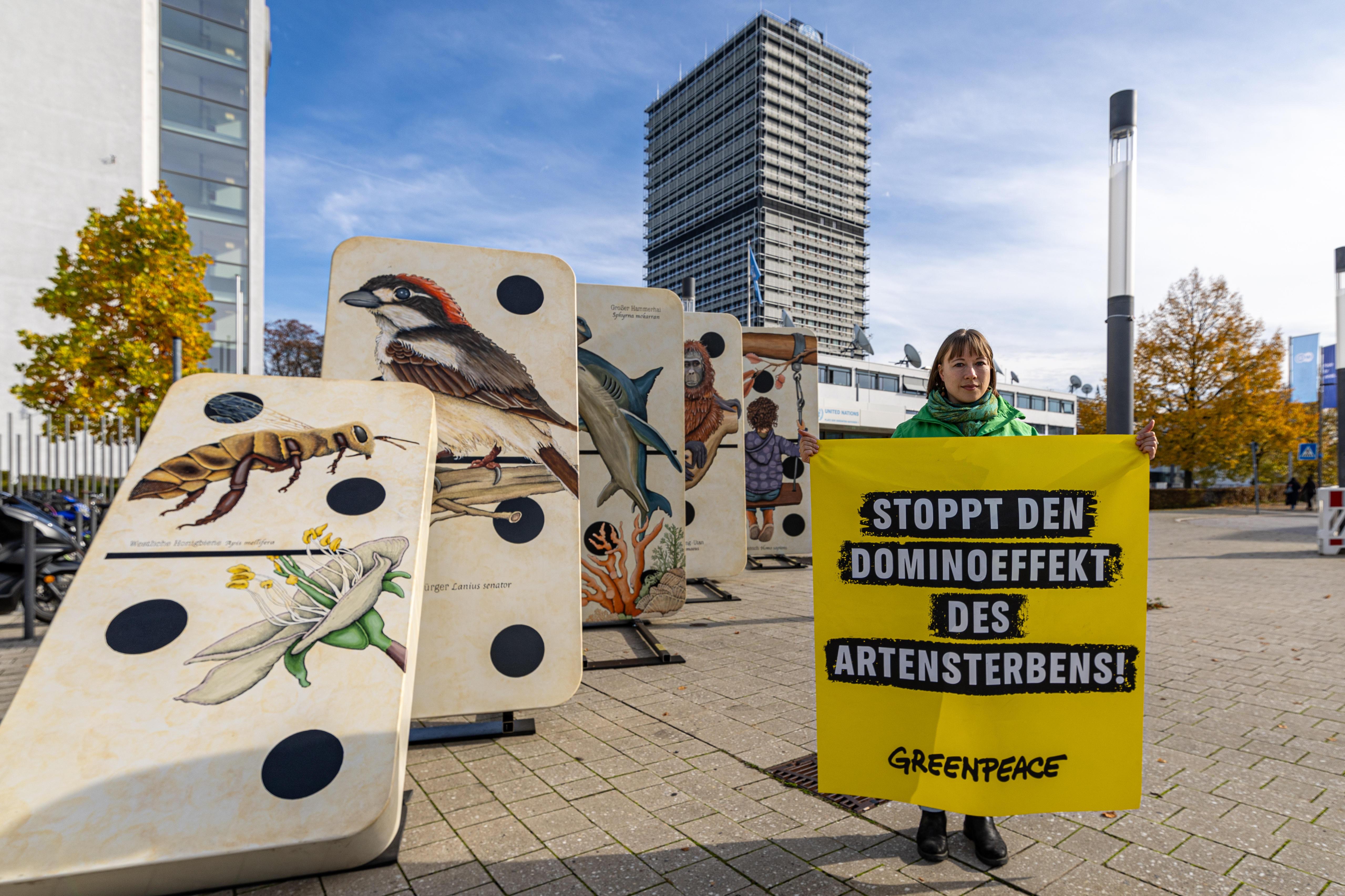 Wenige Tage vor Beginn COP16 demonstrieren Aktivisten auf dem Platz der Vereinten Nationen in Bonn mit der Aktion "Stoppt den Dominoeffekt des Artensterbens"