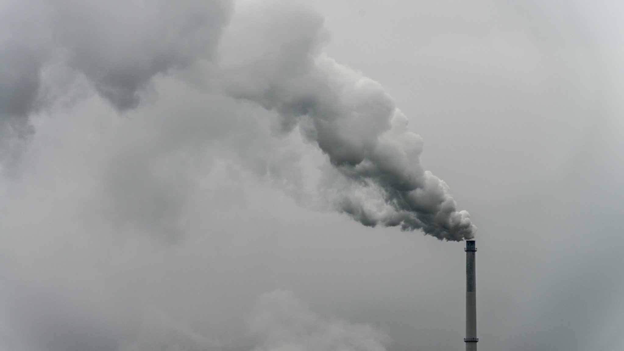 Bundestag: GroKo verschärft ihr Klimaschutzgesetz 