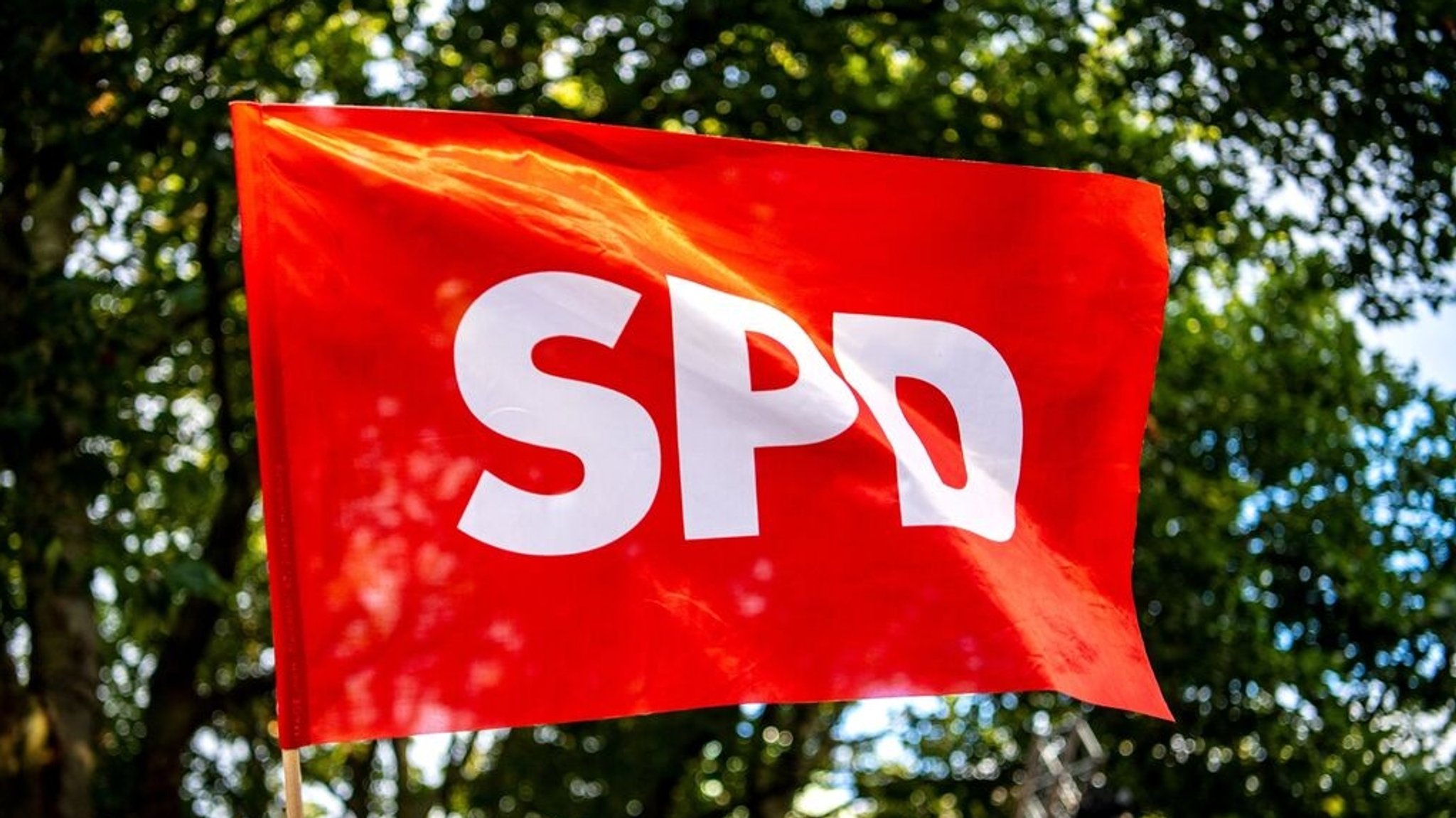 Wie sich SPD-Verbände umstrukturieren