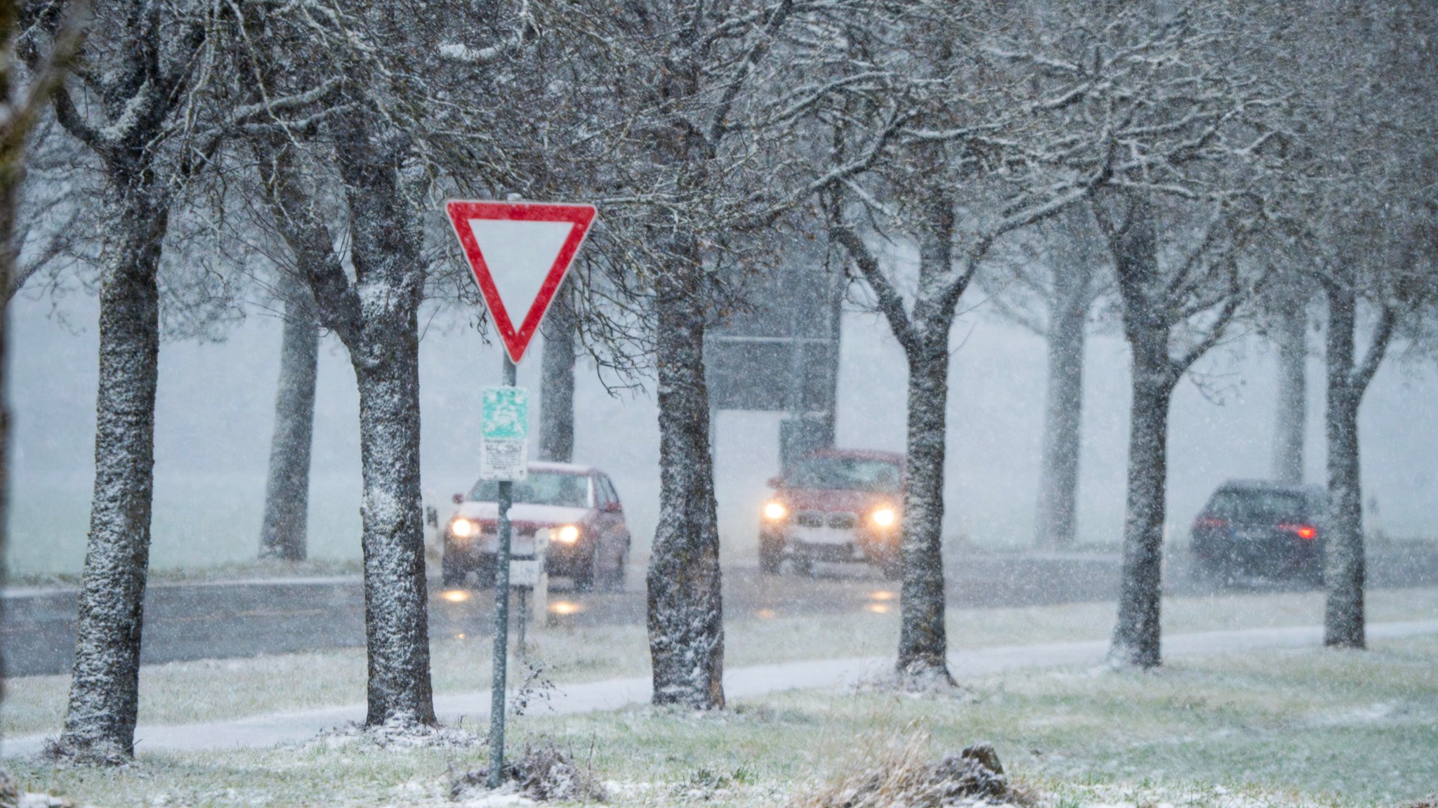 20.12.2024: Schneetreiben auf der Landstraße bei Sauerlach 