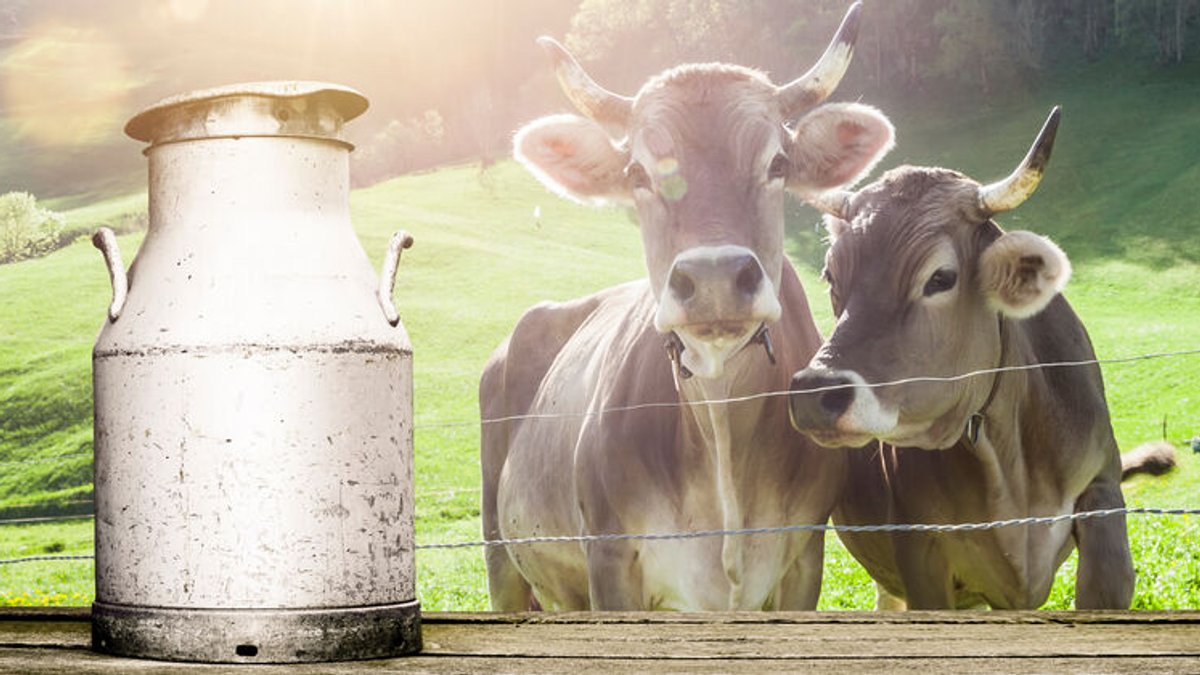 Bayerische Molkereien setzen auf vegane Milchersatzprodukte