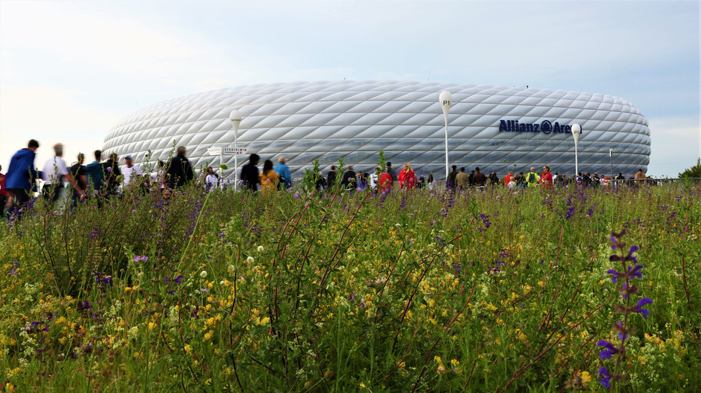 Die Münchner Allianz Arena