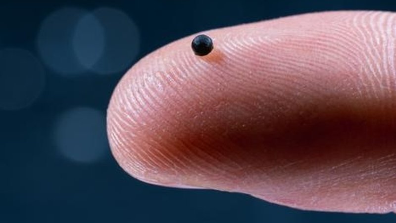 Diesen Mikroroboter hat die ETH Zürich entwickelt. Er kann sich durch die Blutgefäße bewegen und Medikamente freisetzen. So könnte er in Zukunft das Leben von Schlaganfallpatienten retten. | Bild: Luca Donati / ETH Zürich / lad.studio Zurich Diesen Mikroroboter hat die ETH Zürich entwickelt. Er kann sich durch die Blutgefäße bewegen und Medikamente freisetzen. So könnte er in Zukunft das Leben von Schlaganfallpatienten retten.