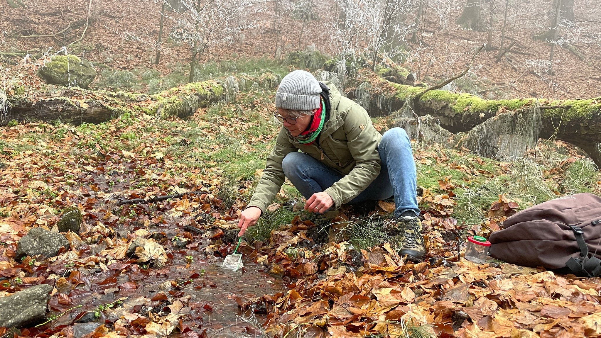 Der Klimawandel setzt die Quellen in den Rhön unter Druck, das zeigt der aktuelle Bericht zur Quellenkartierung 2025. | Bild: BR/Mona Böhm Der Klimawandel setzt die Quellen in den Rhön unter Druck, das zeigt der aktuelle Bericht zur Quellenkartierung 2025.