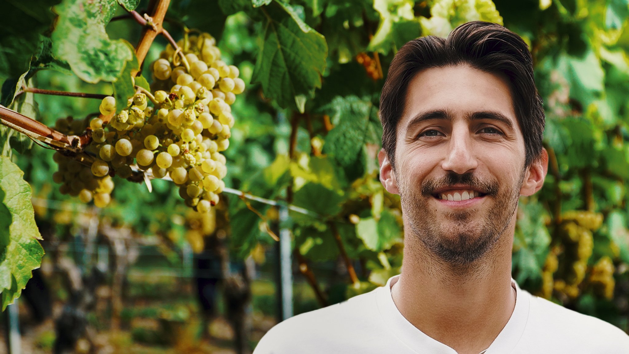 Mann vor Weinpflanze