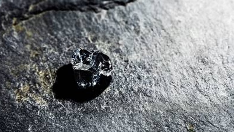 Viel mehr als dieser Zahn ist von Buronius manfredschmidi nicht geblieben: Zwei Zähne und eine Kniescheibe haben die Forscher entdeckt. | Bild: Berthold Steinhilber/Universität Tübingen Viel mehr als dieser Zahn ist von Buronius manfredschmidi nicht geblieben: Zwei Zähne und eine Kniescheibe haben die Forscher entdeckt.