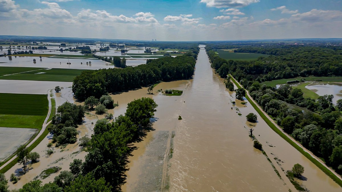 Luftaufnahme der Hochwasser führenden Donau mit überschwemmtem Umland