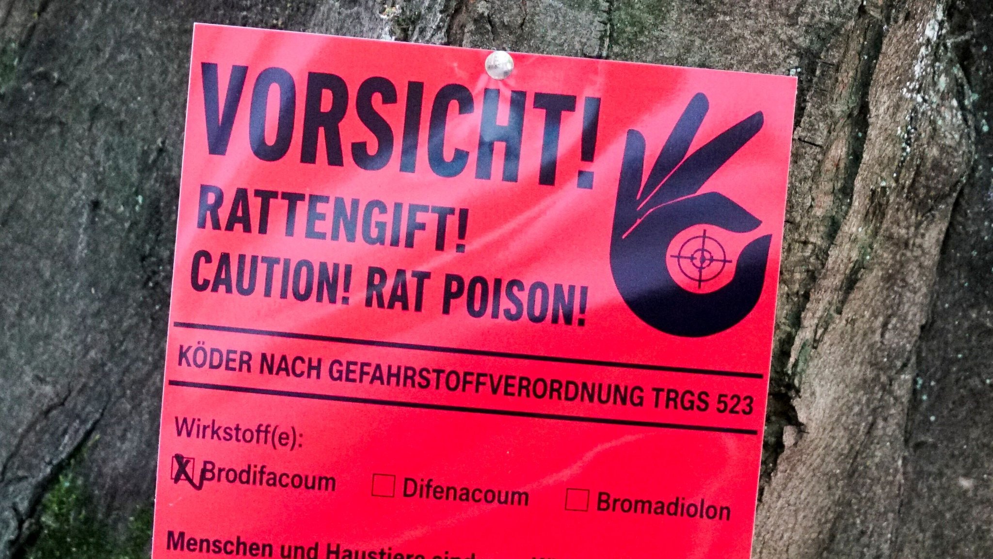 (Symbolbild) Rotes Hinweisschild an einem Baum: "Vorsicht Rattengift!"