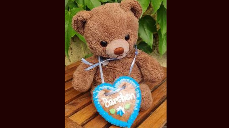 Erlanger Paar verliert diesen Teddy und sucht ihn dringend | Bild: Klaus Oberndorfer / Privat Erlanger Paar verliert diesen Teddy und sucht ihn dringend
