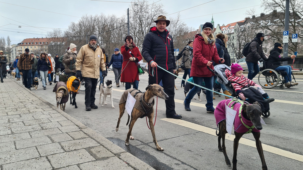 Demonstrantinnen und Demonstranten gehen mit angeleinten Hunden auf einer Straße.