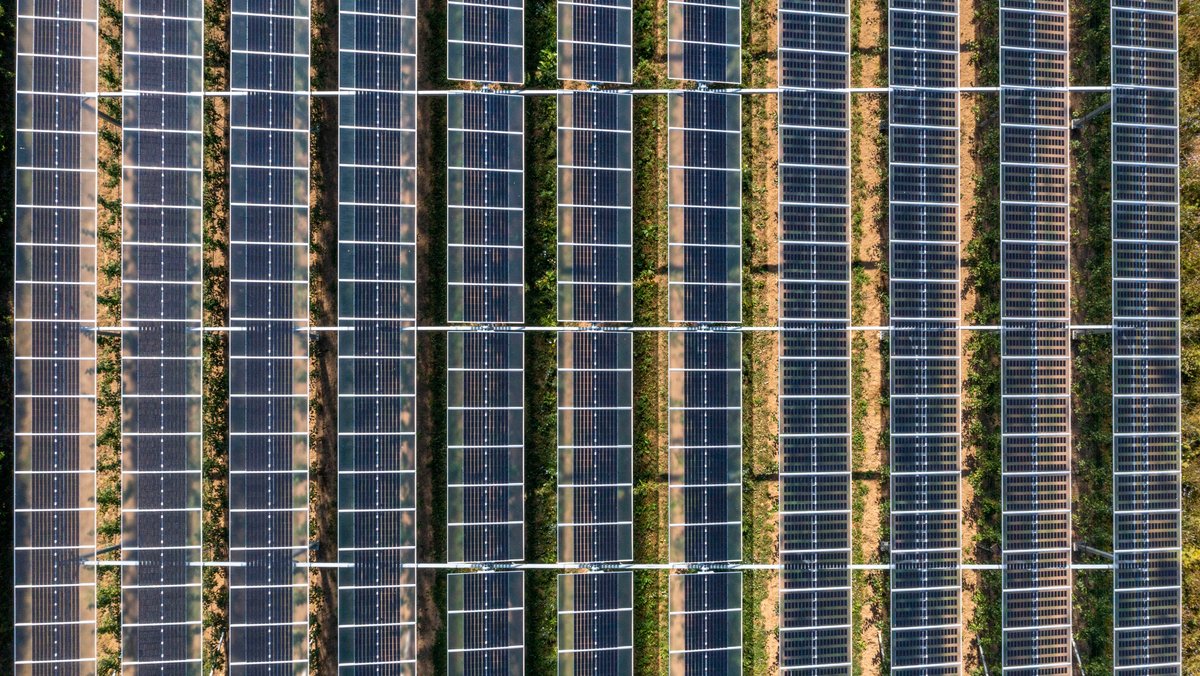 Agri-Photovoltaik: Eine Apfelplantage wurde mit zwei unterschiedlichen Systemen von PV-Modulen überdacht (Symbolbild)