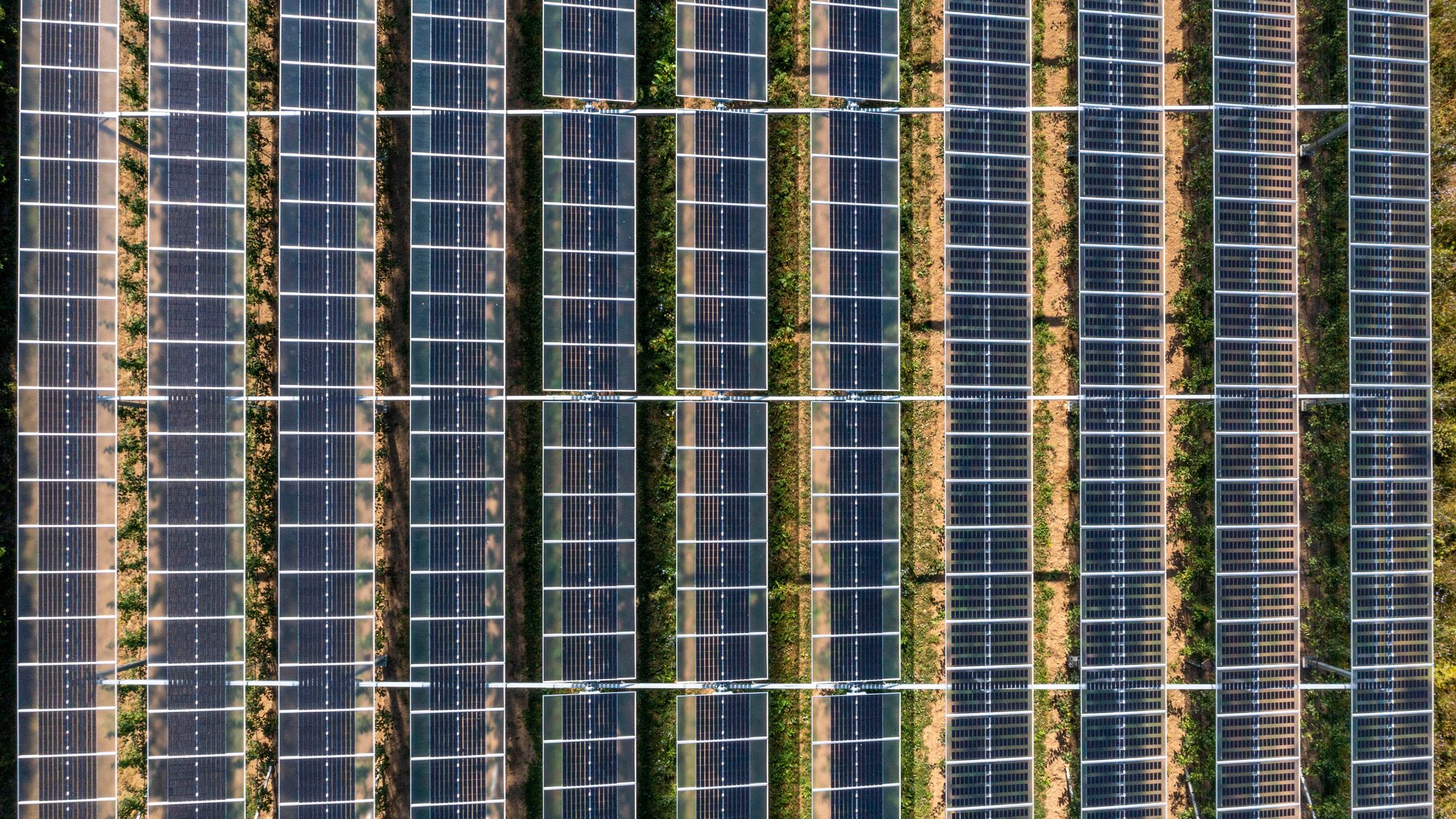 Photovoltaik auf dem Acker: Doch keine "Goldrandlösung"? 