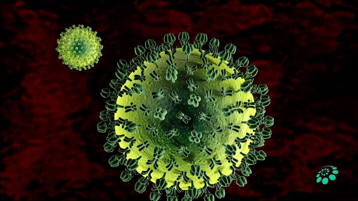 Wie Grippeviren Menschen infizieren