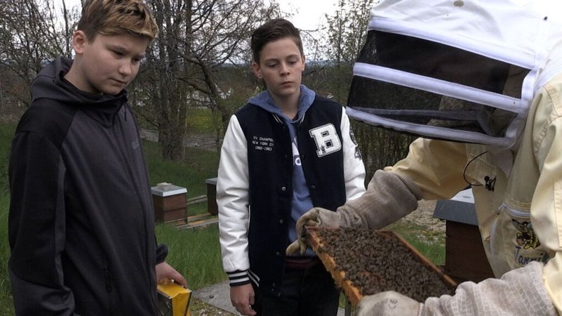 Joshua, Lucas und Jannik (von links) vom Bienenzuchtverein Sulzbach-Rosenberg