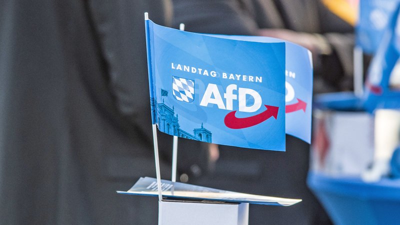 AfD-Fähnchen der Landtags-Fraktion.