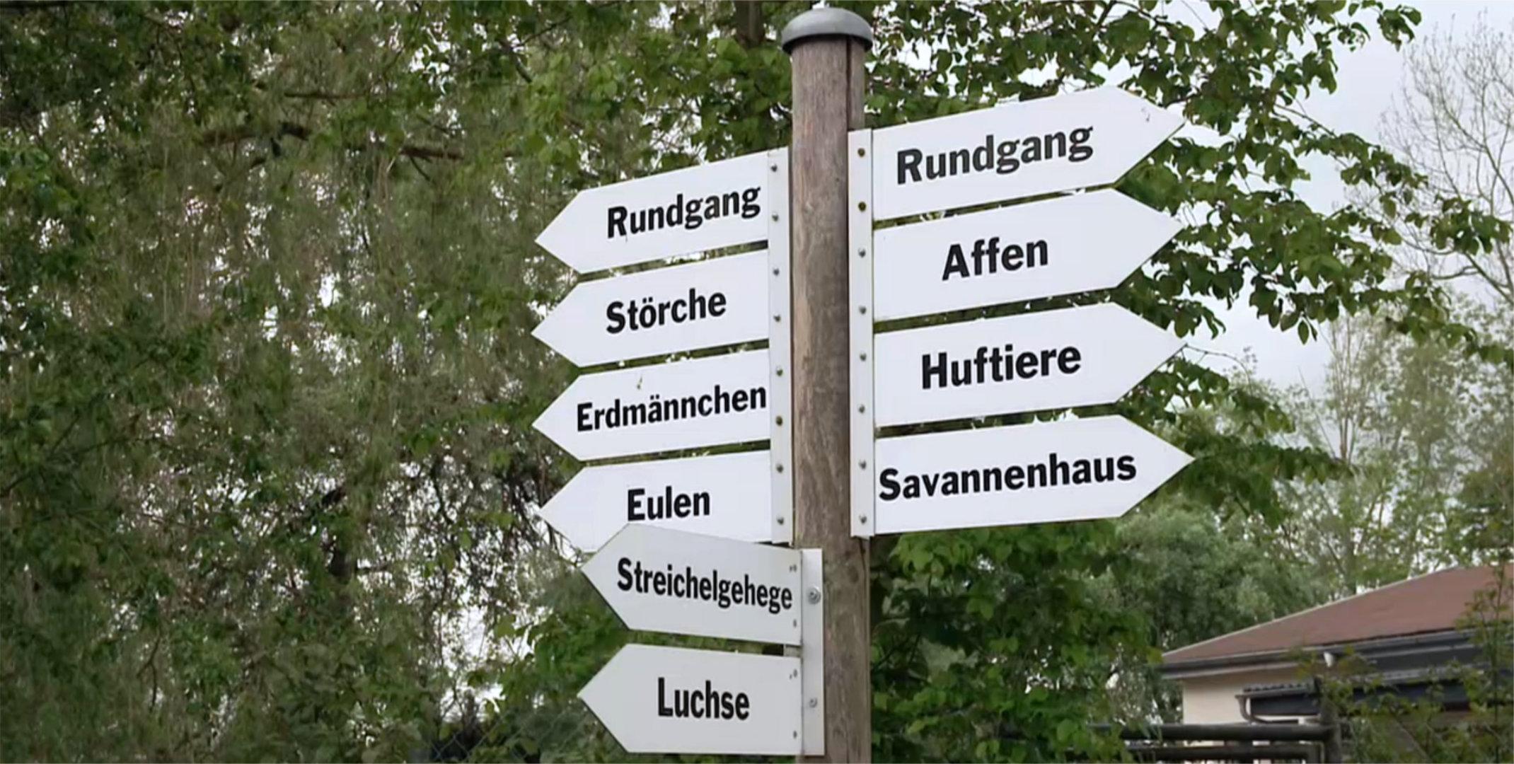 An einem Pfosten sind in einem Tierpark Schilder angebracht, auf denen zu lesen ist, wo es zu den Affen, den Erdmännchen oder zu den Luchsen geht.  