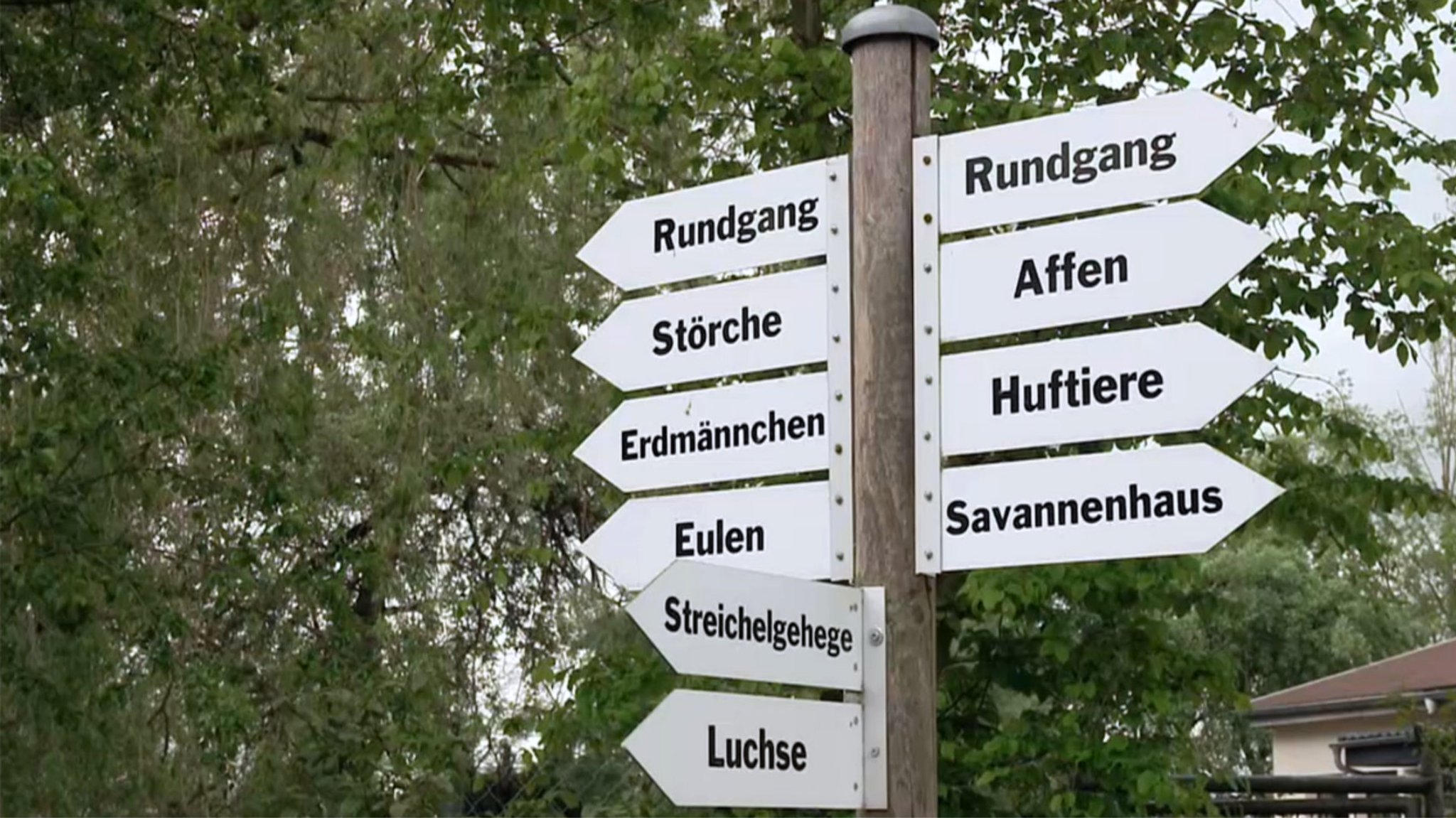 An einem Pfosten sind in einem Tierpark Schilder angebracht, auf denen zu lesen ist, wo es zu den Affen, den Erdmännchen oder zu den Luchsen geht.  