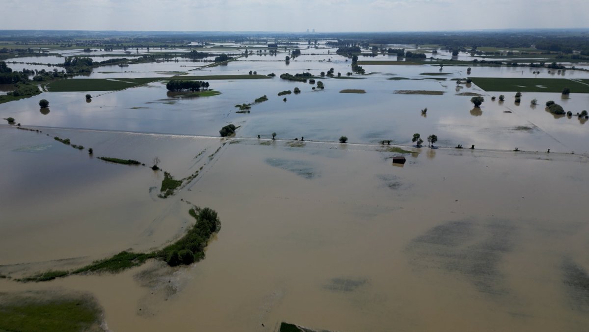Anfang Juni hat sich das Donauhochwasser als "Riedstrom" über die Felder in den Landkreisen Dillingen und Donau-Ries ergossen.