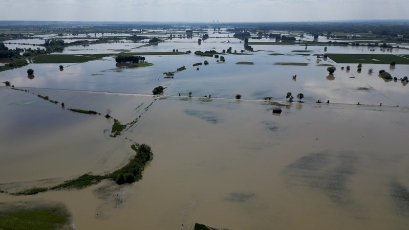 Anfang Juni hat sich das Donauhochwasser als "Riedstrom" über die Felder in den Landkreisen Dillingen und Donau-Ries ergossen. | Bild: Zacher, Judith Anfang Juni hat sich das Donauhochwasser als "Riedstrom" über die Felder in den Landkreisen Dillingen und Donau-Ries ergossen.
