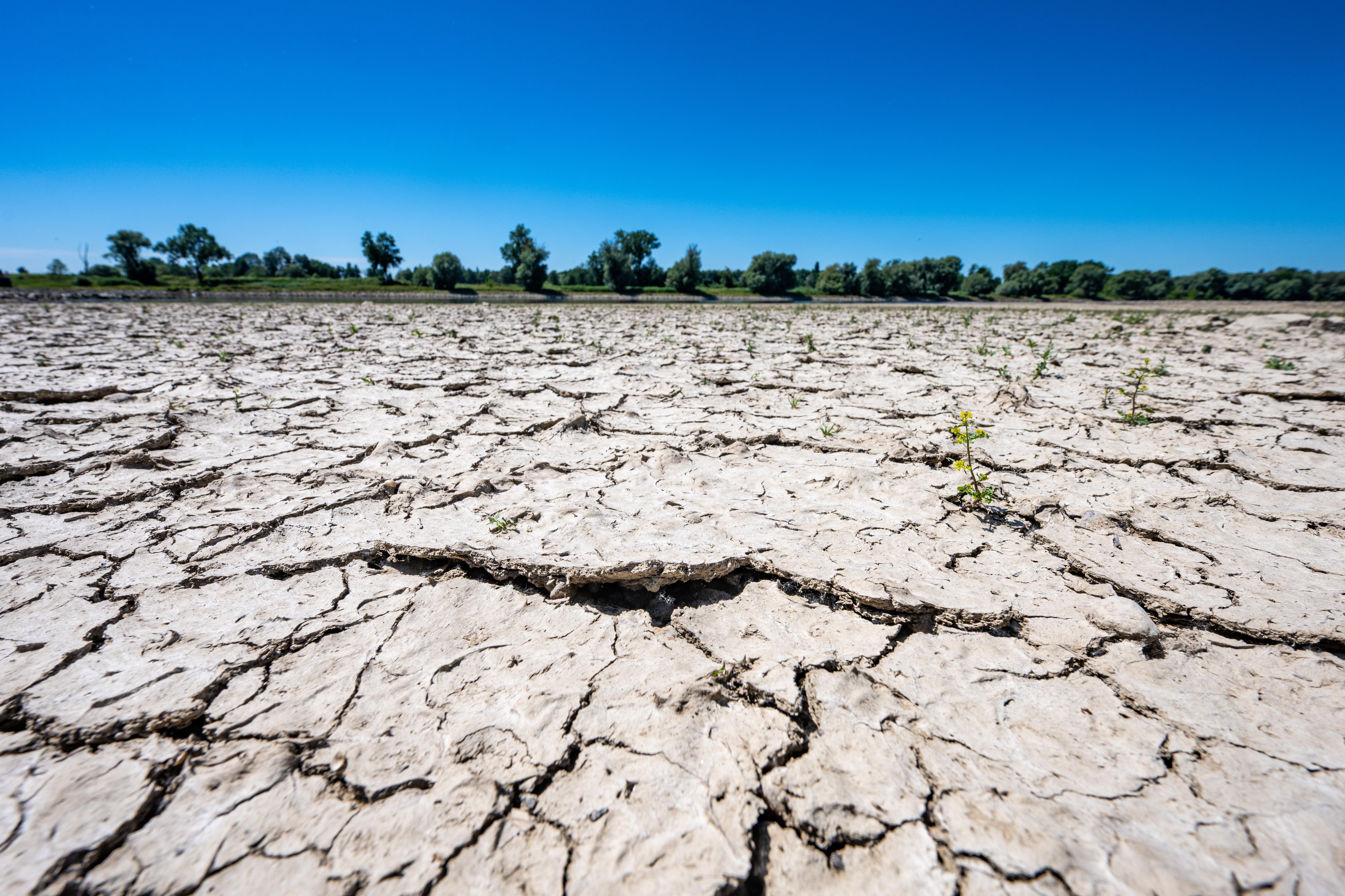 Donauabschnitt in Bayern im Juli 2025