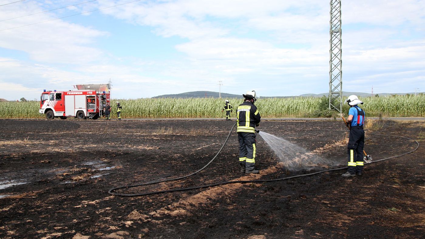 Feld bei Niedernberg bei Erntearbeiten in Brand geraten | BR24