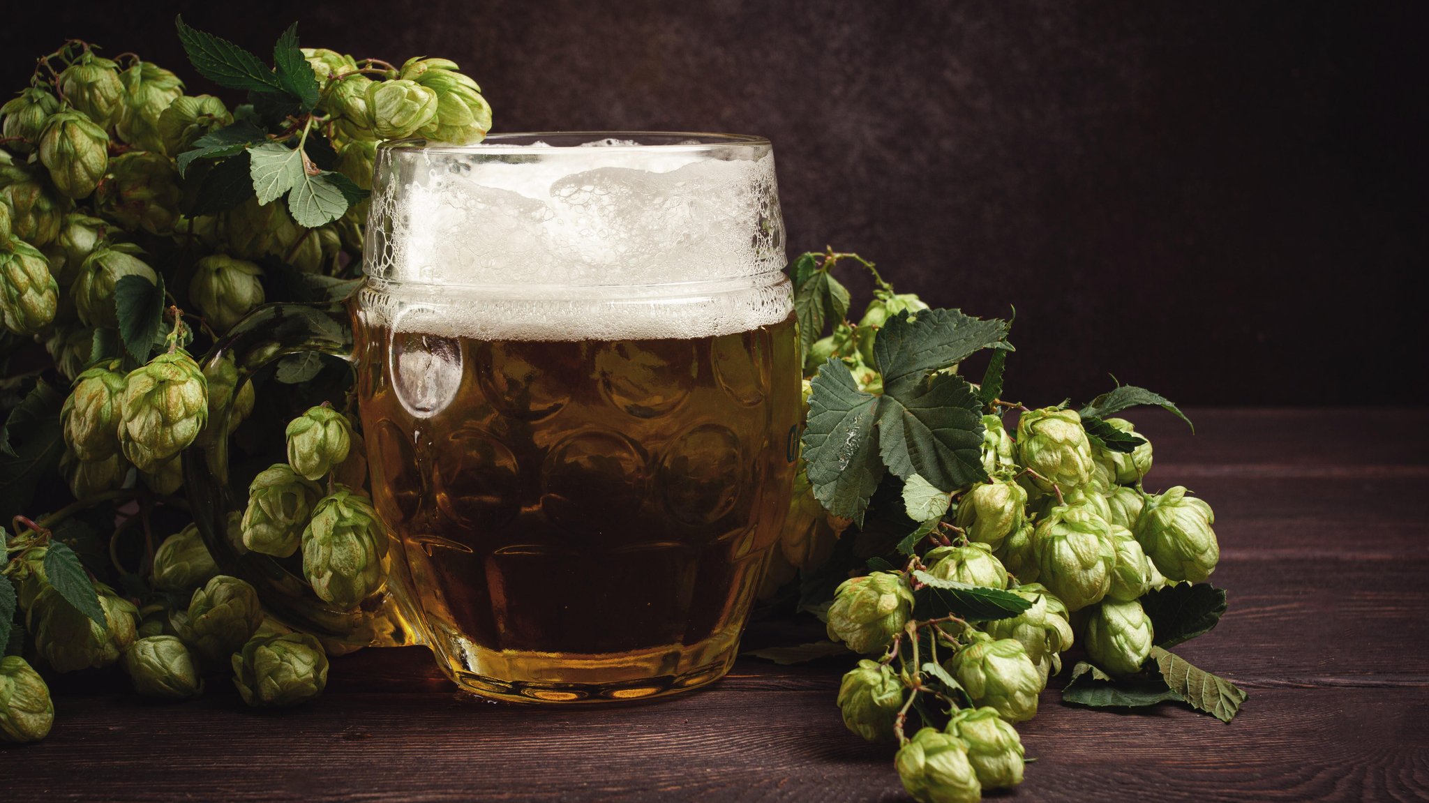 Ein Bierglas vor Hopfen | Bild: picture alliance / imageBROKER | Didebashvili Ein Bierglas vor Hopfen