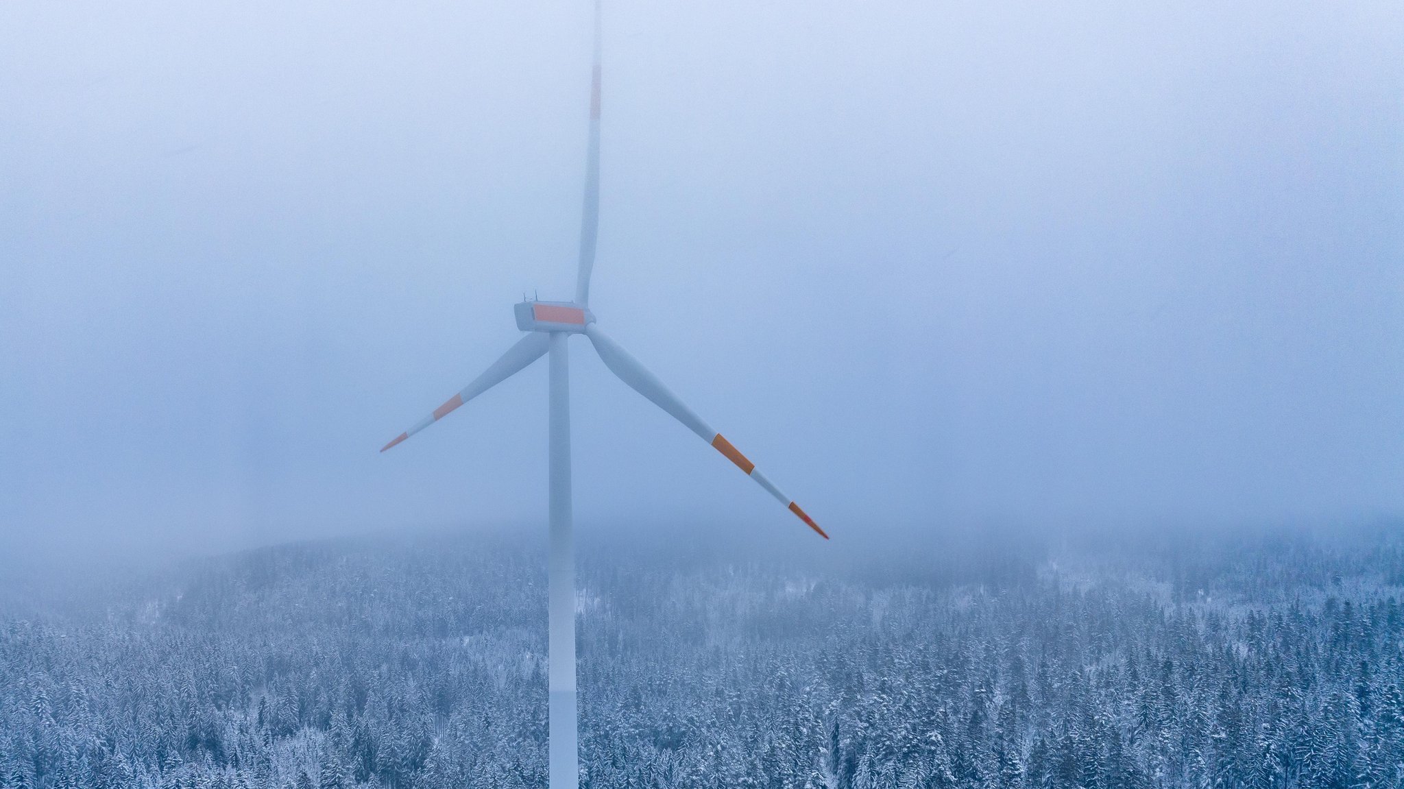 Bürgerentscheid gegen Windpark im Chemiedreieck – und jetzt?