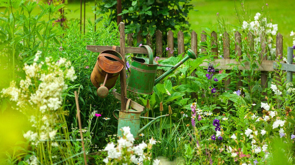 Trockenheit und Garten: Richtiges gießen und bewässern