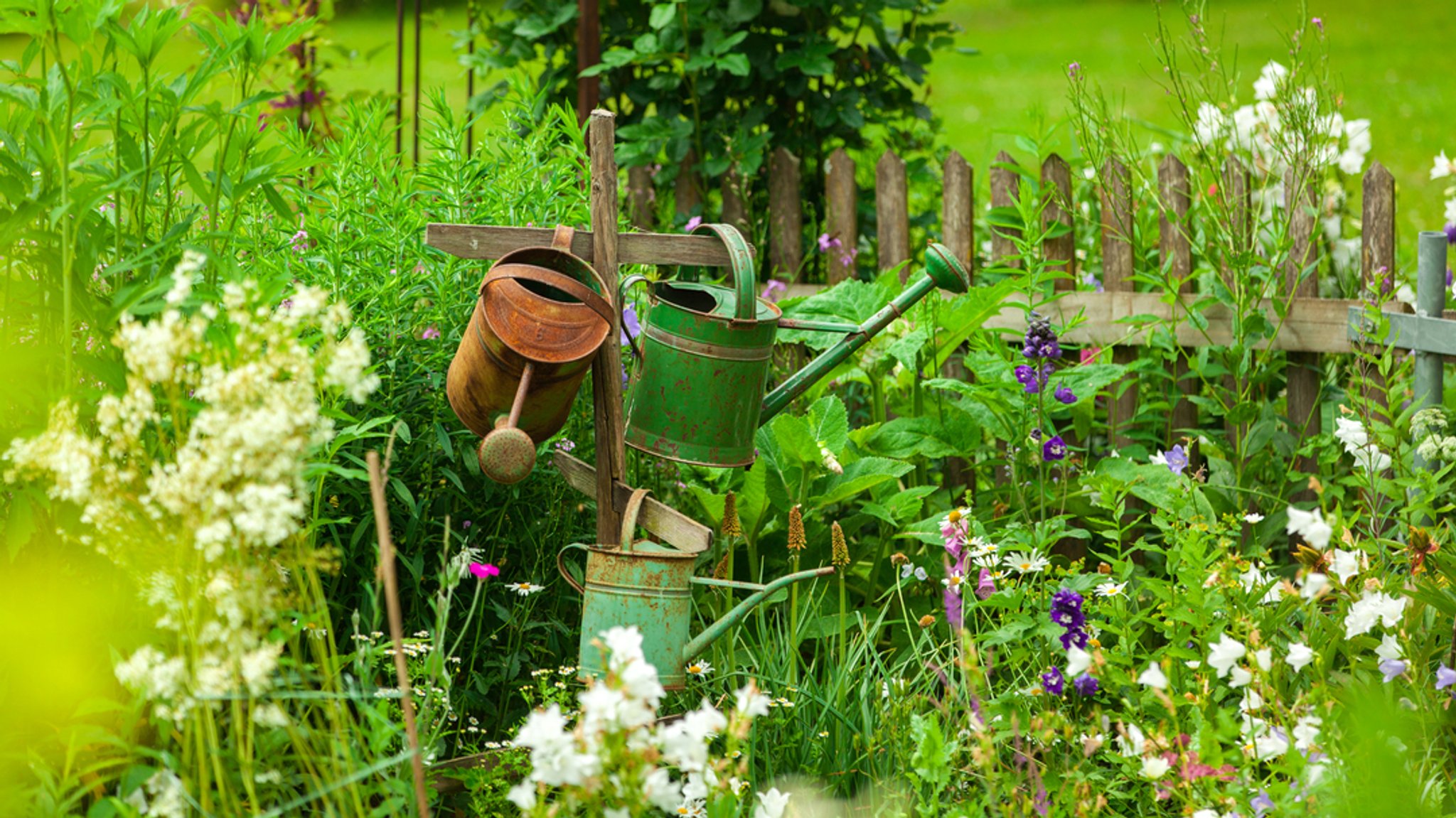 Trockenheit und Garten: Richtiges gießen und bewässern