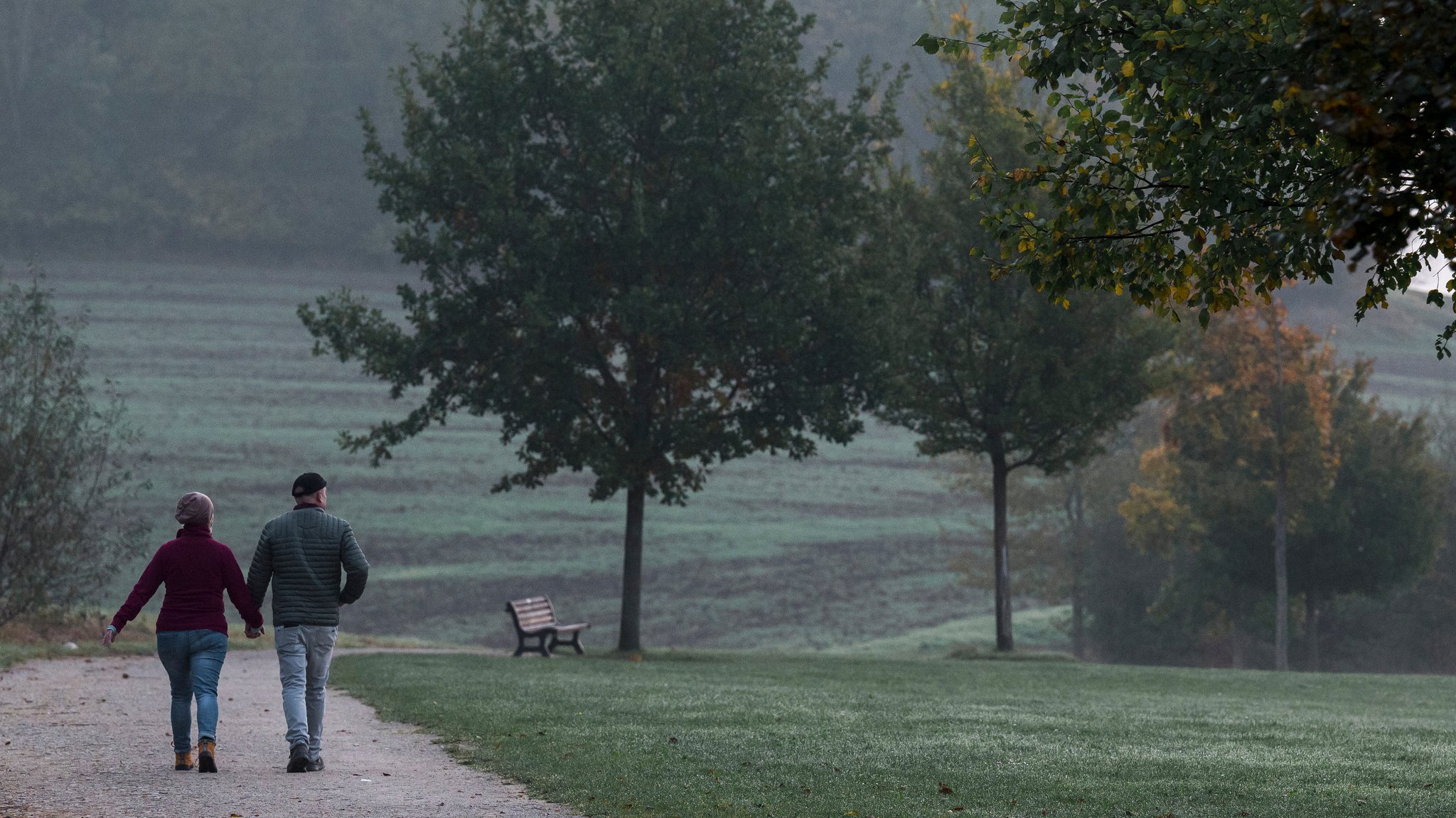 (Symbolbild) Zwei Personen gehen bei nebeligem Wetter spazieren. Herbstbilanz und Ausblick: Das Wetter am Adventswochenende