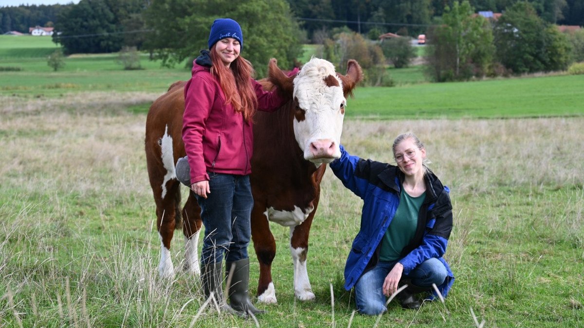 Hofübergabe: Vom Milchviehbetrieb zum veganen "Lebenshof"
