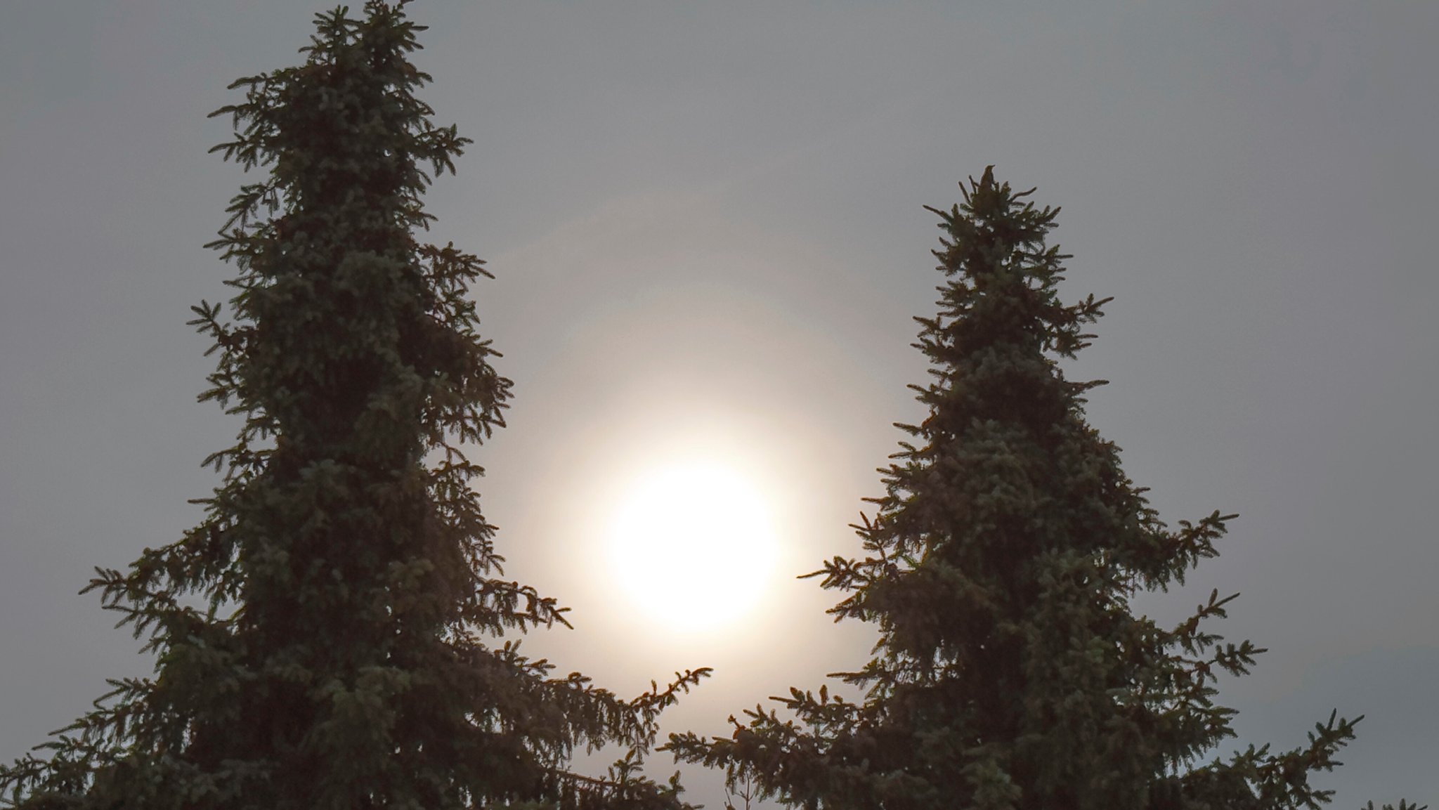 10.06.2025: Waldbrände in Kanada sorgen für trüben Himmel über Bayern, hier in Bad Wörishofen im Unterallgäu. | Bild: picture alliance/M.i.S./Bernd FeilM.i.S. 10.06.2025: Waldbrände in Kanada sorgen für trüben Himmel über Bayern, hier in Bad Wörishofen im Unterallgäu.