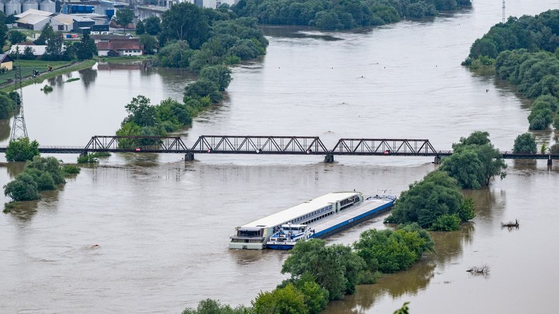 Die Eisenbahnbrücke bei Bogen Anfang Juni, als die Donau Hochwasser führte. 