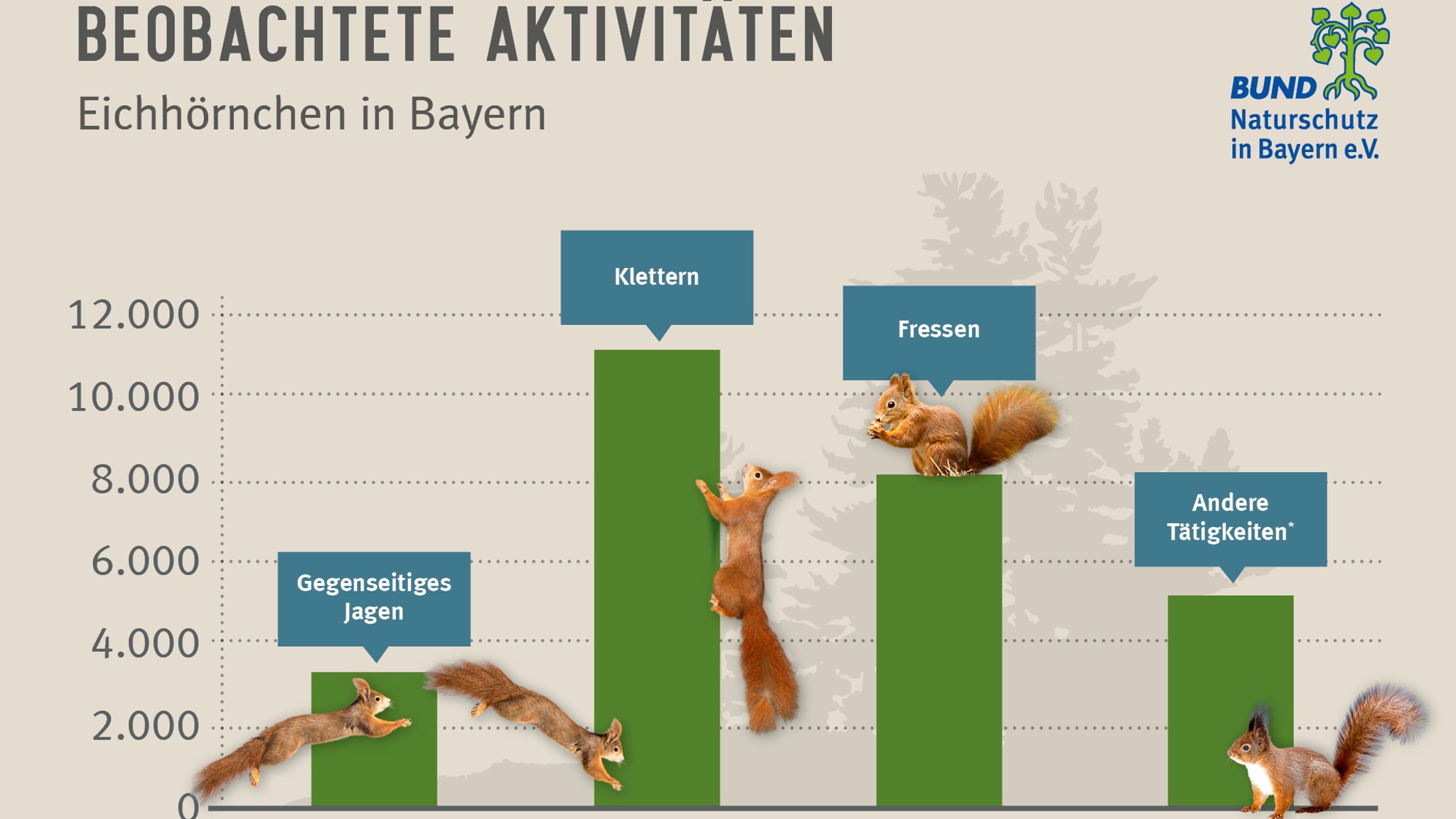 Balkendiagramm mit Eichhörnchen zu der Menge an verschiedenen Aktivitäten wie Jagen, Klettern, Fressen und andere Tätigkeiten