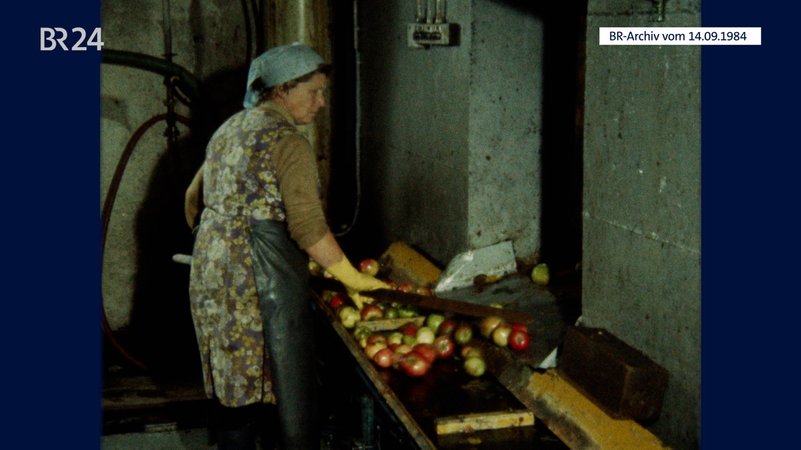 Frau bei Herstellung von Apfelmost | Bild: BR Archiv Frau bei Herstellung von Apfelmost