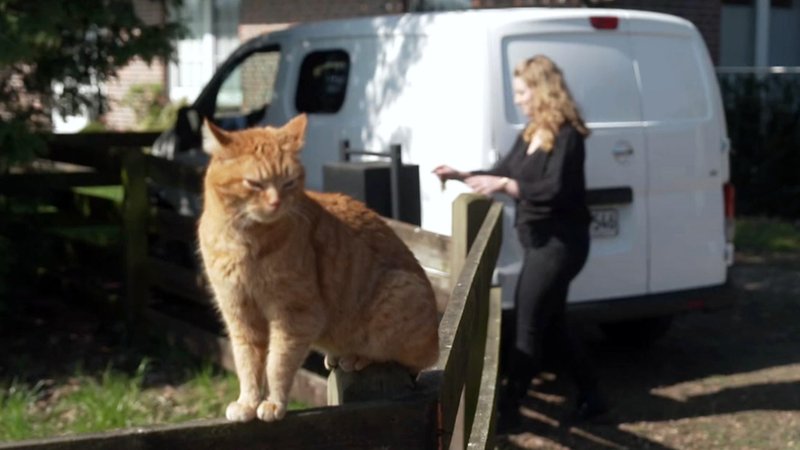 Vanessa Lindner leert den Briefkasten und kümmert sich auch um die Haustiere