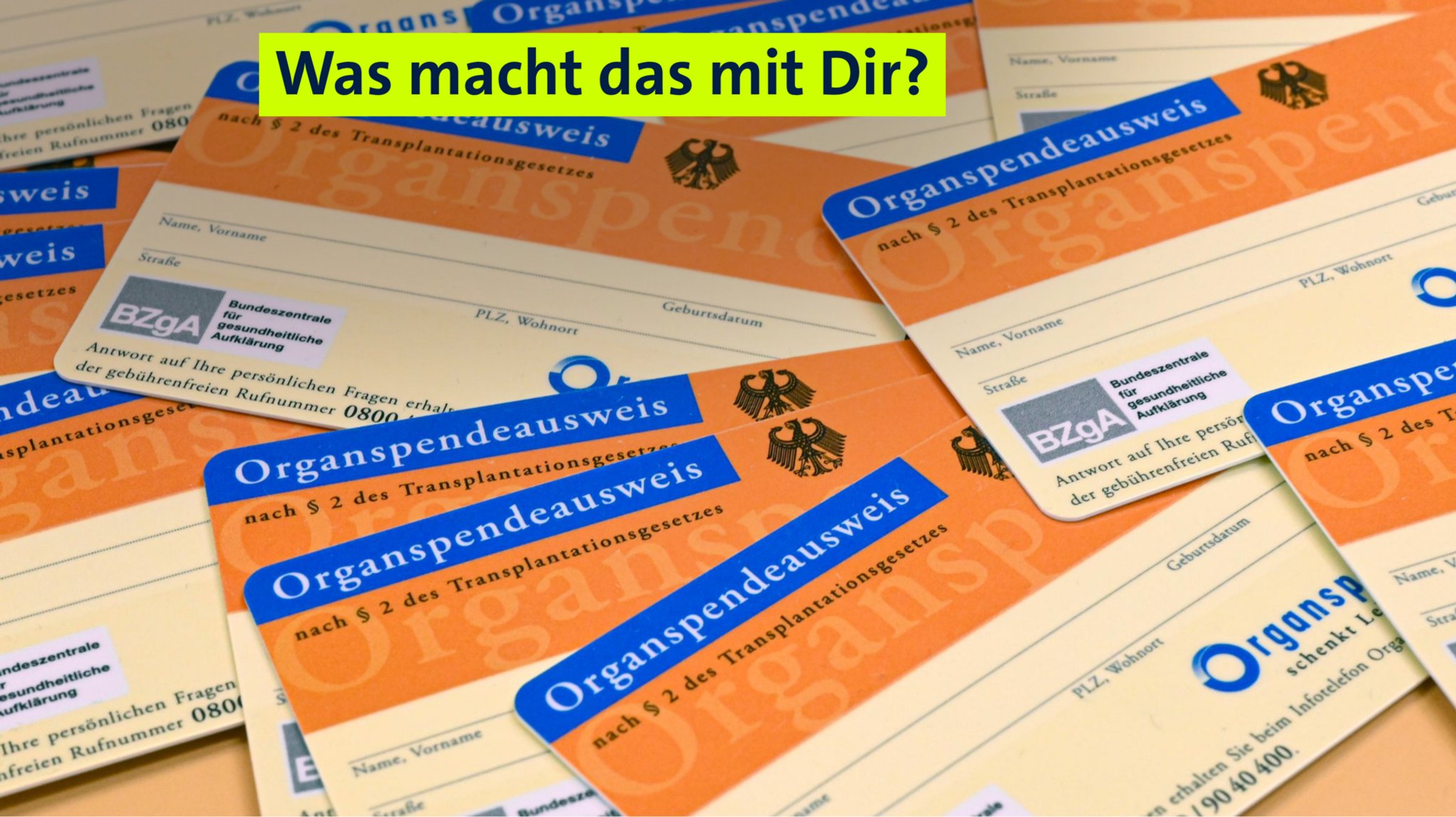 Viele unausgefüllte Organspendeausweise liegen auf einem Tisch. | Bild: pa / epd-bild | Heike Lyding Viele unausgefüllte Organspendeausweise liegen auf einem Tisch.