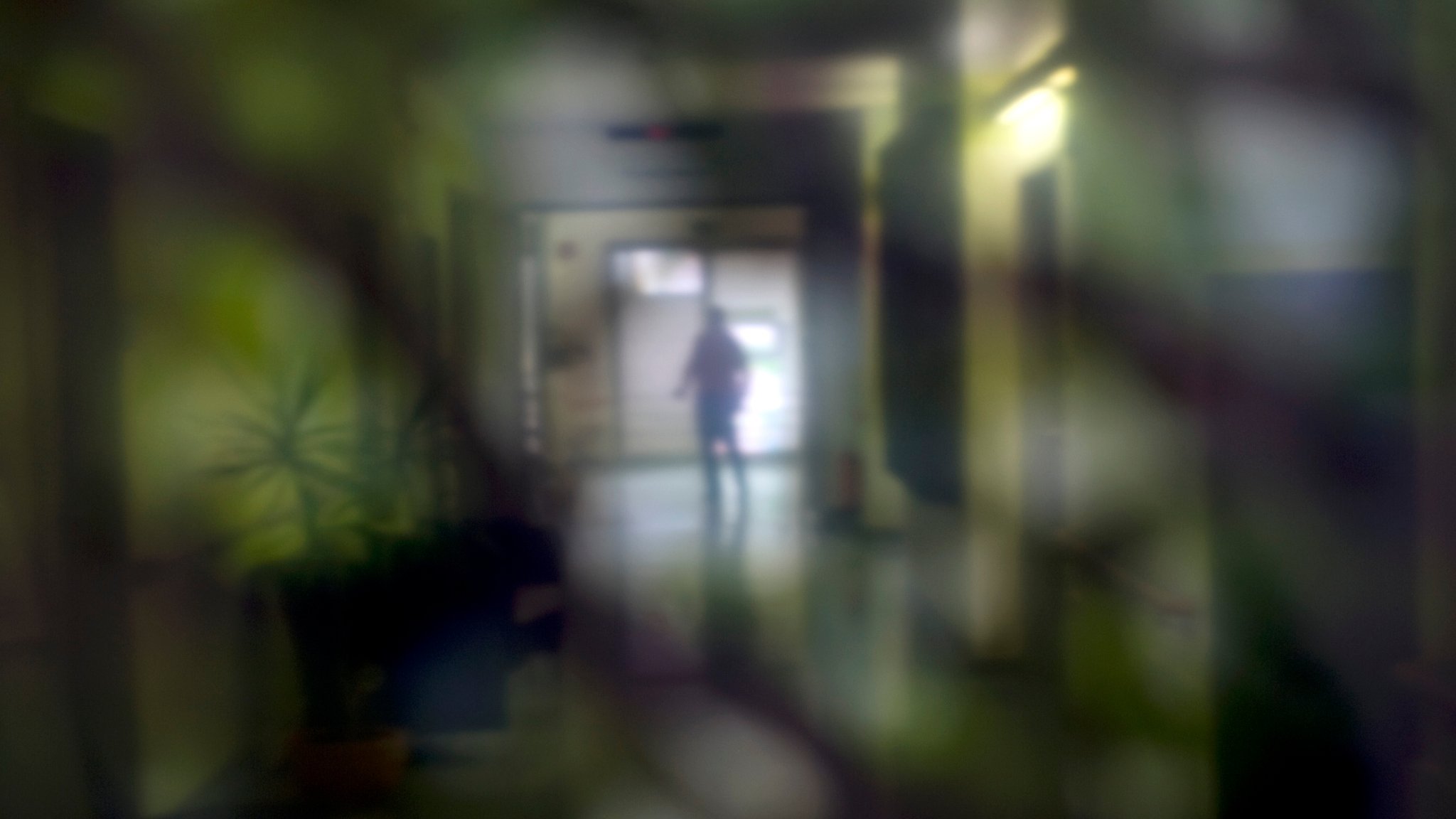 Eine Person in einem Krankenhausflur | Bild: picture alliance / IPON | Stefan Boness Eine Person in einem Krankenhausflur