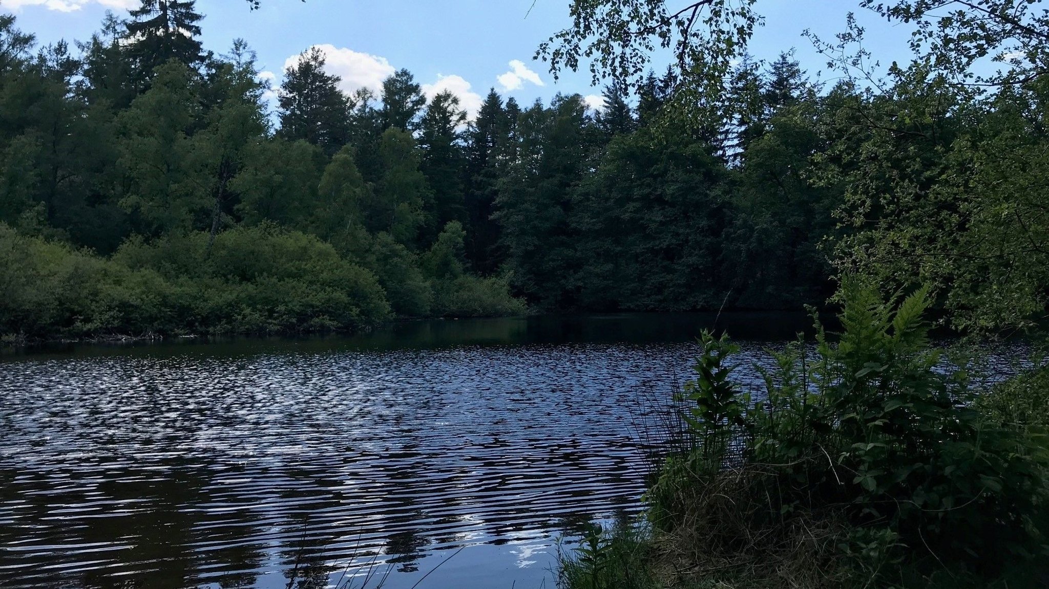 Endlich Sommer: Wie ist die Wasserqualität von Bayerns Badeseen?