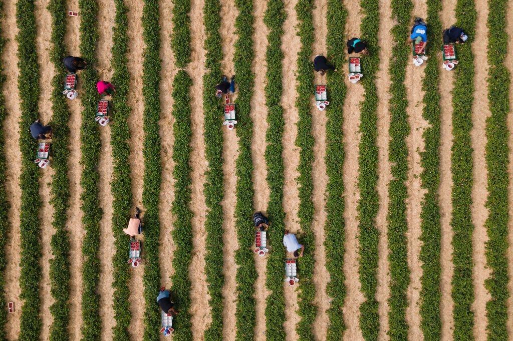 Vor zehn Jahren: Kabinett beschließt Mindestlohn-Einführung
