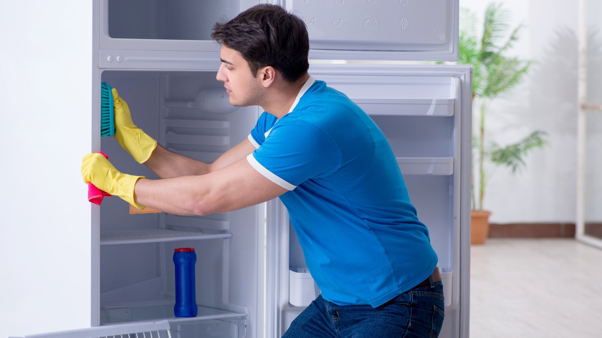 Keime im Kühlschrank: Warum regelmäßiges Putzen wichtig ist