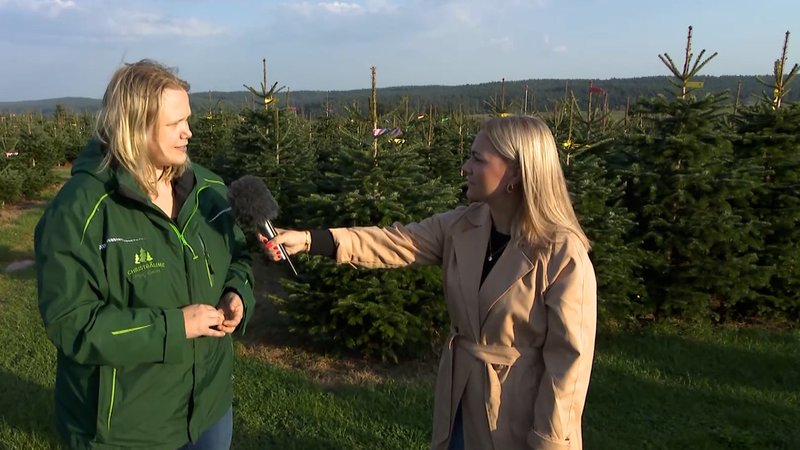 BR-Korrespondentin Laura Nadler im Gesrpäch mit einer Weihnachtsbaum-Züchterin. | Bild: BR BR-Korrespondentin Laura Nadler im Gesrpäch mit einer Weihnachtsbaum-Züchterin.