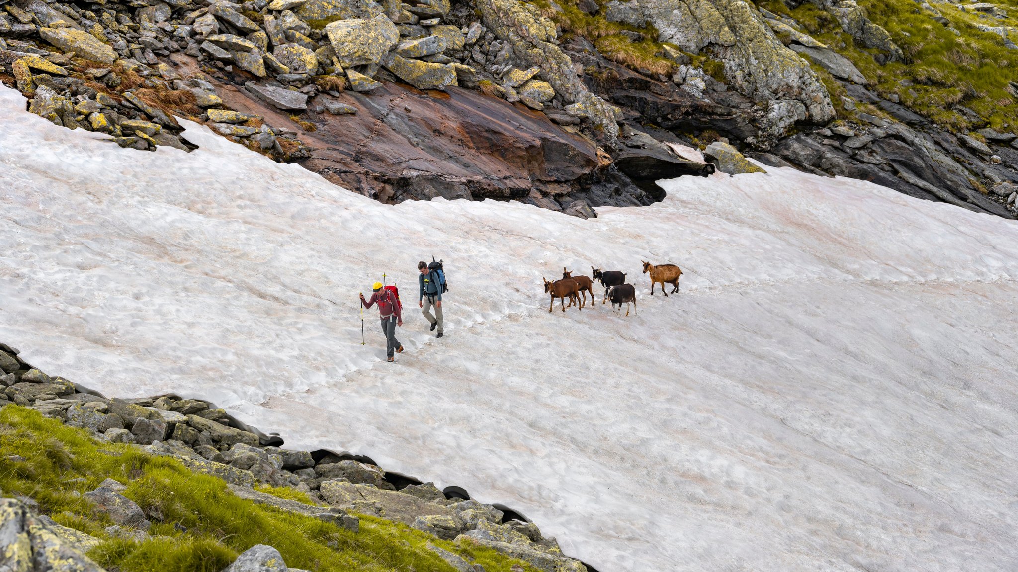 Eine großangelegte Studie von Eurac Research in Bozen zeigt eine viel kürzere Schneesaison in den gesamten Alpen als noch vor 50 Jahren.