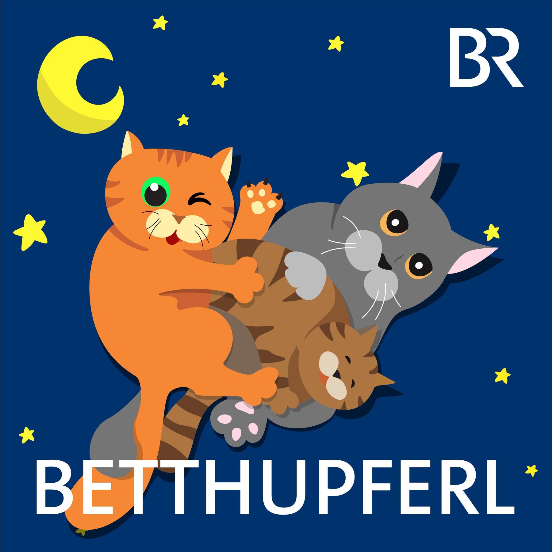 Volle Tatze, Flunkerkatze: Wie ich einem fliegenden Teppich geholfen hab | Eine Gute-Nacht-Geschichte ab 5 Jahren