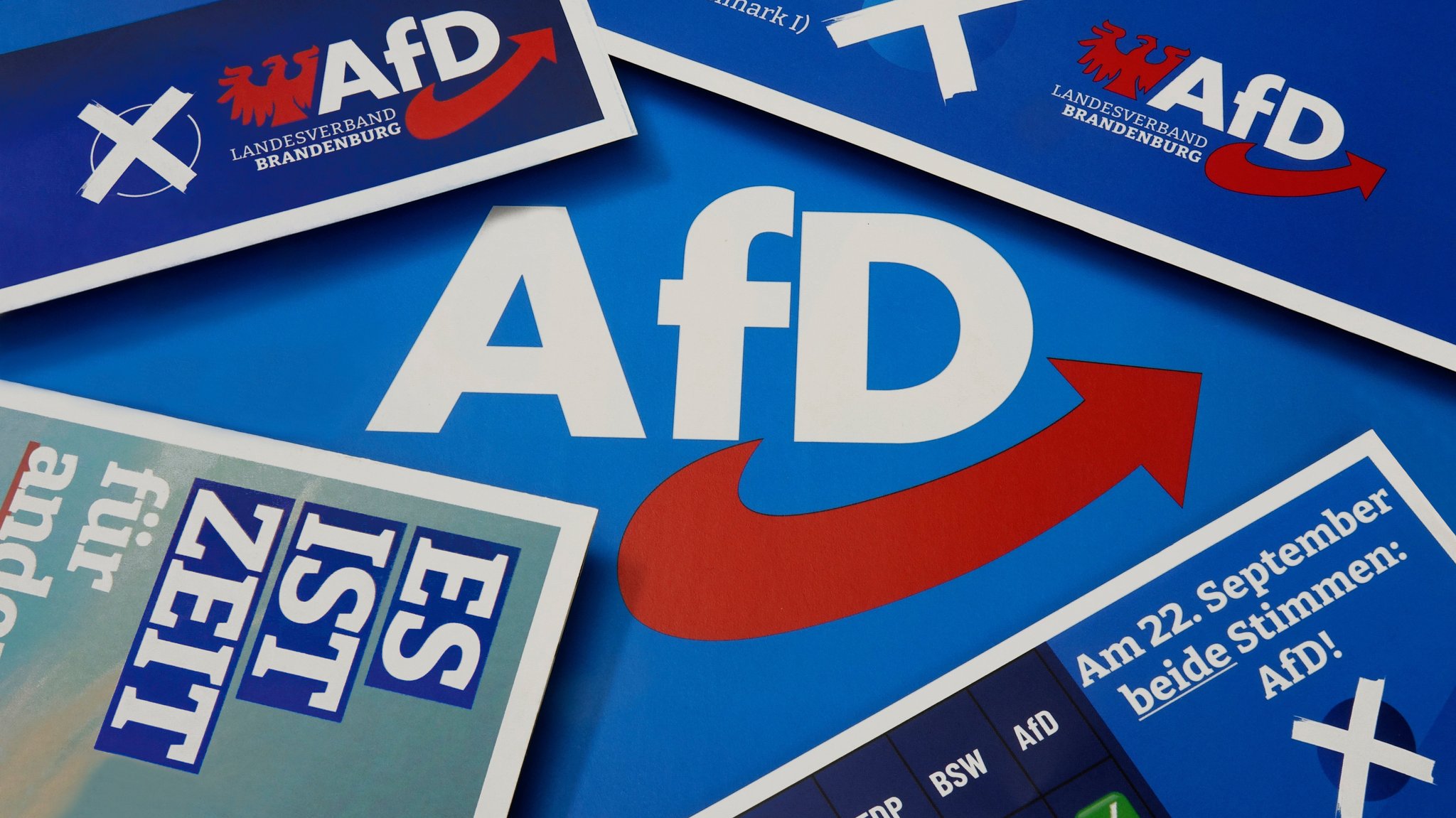 Blick auf AfD-Flyer zur Wahl in Brandenburg am 22.09.2024.