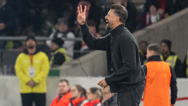 Sandro Wagner gestikuliert | Bild: picture alliance / Eibner-Pressefoto | Wolfgang Frank Sandro Wagner gestikuliert